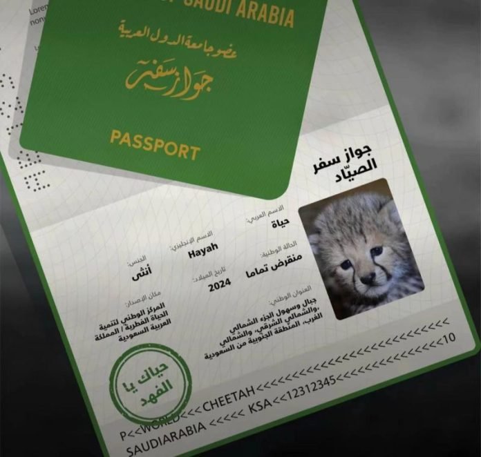 Saudi Arabia Visa Ban Countries? Visa Suspension, Policy Change Legal Point