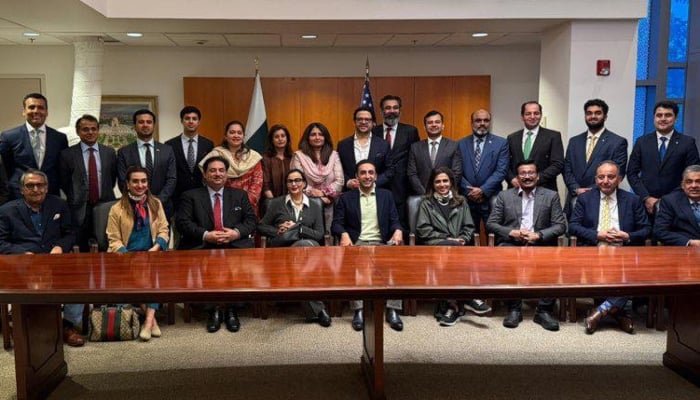 Pakistan's Diplomatic Delegation Reaches UK 2025, Successful US Engagements