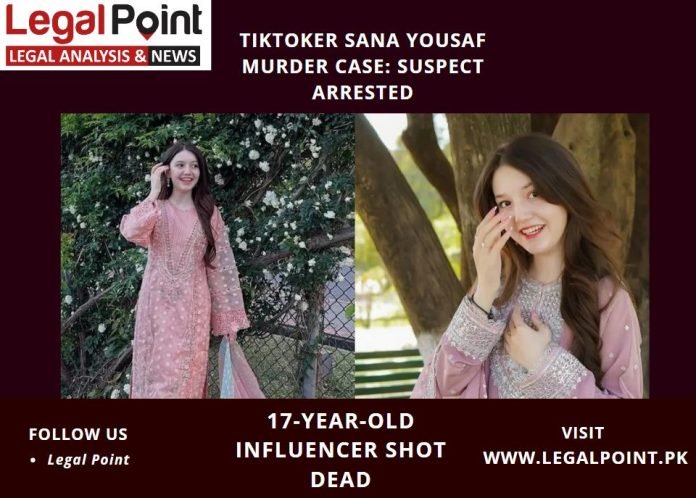 Famous TikToker Murder Investigation 2025